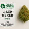Jack Herer uplifting experience