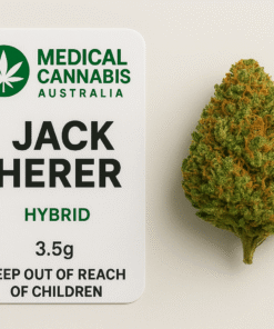 Jack Herer uplifting experience